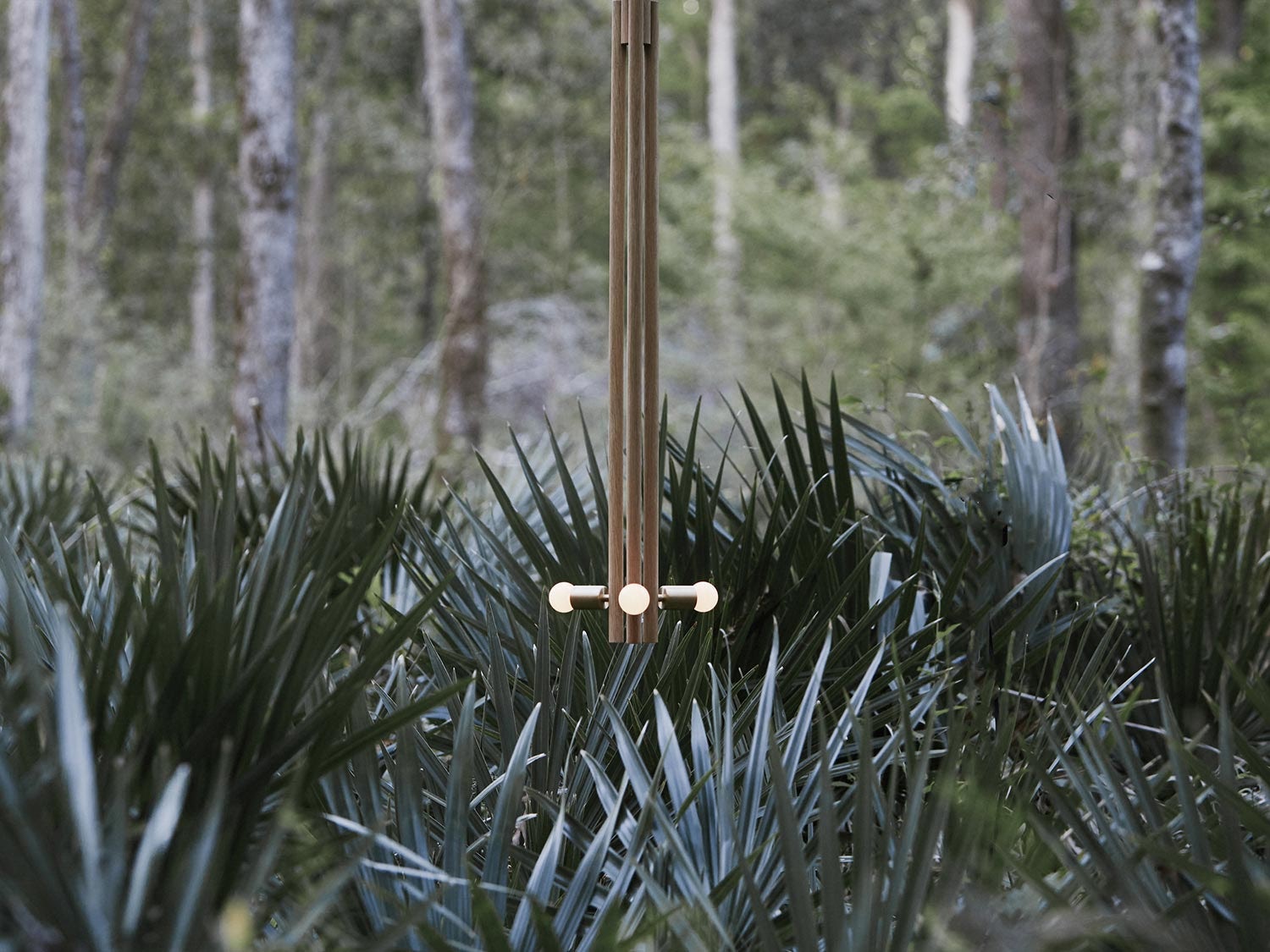 gallery image for Pendant-Natural-Ace-Basin-Daytime