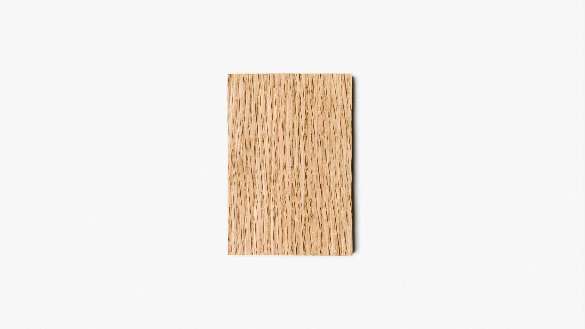 gallery image for WS-FS-NO_GAL