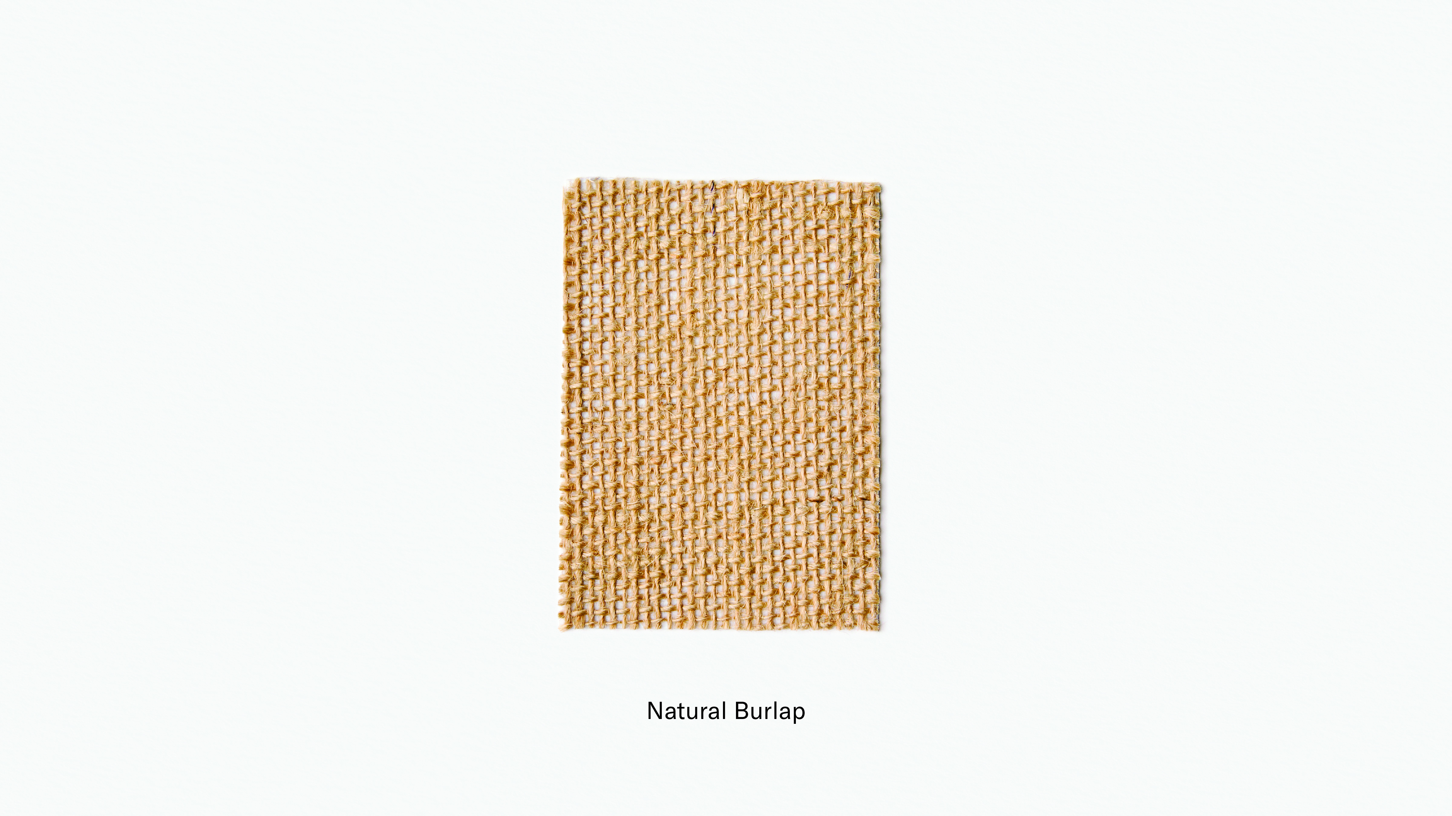 gallery image for WS-FS-NBS