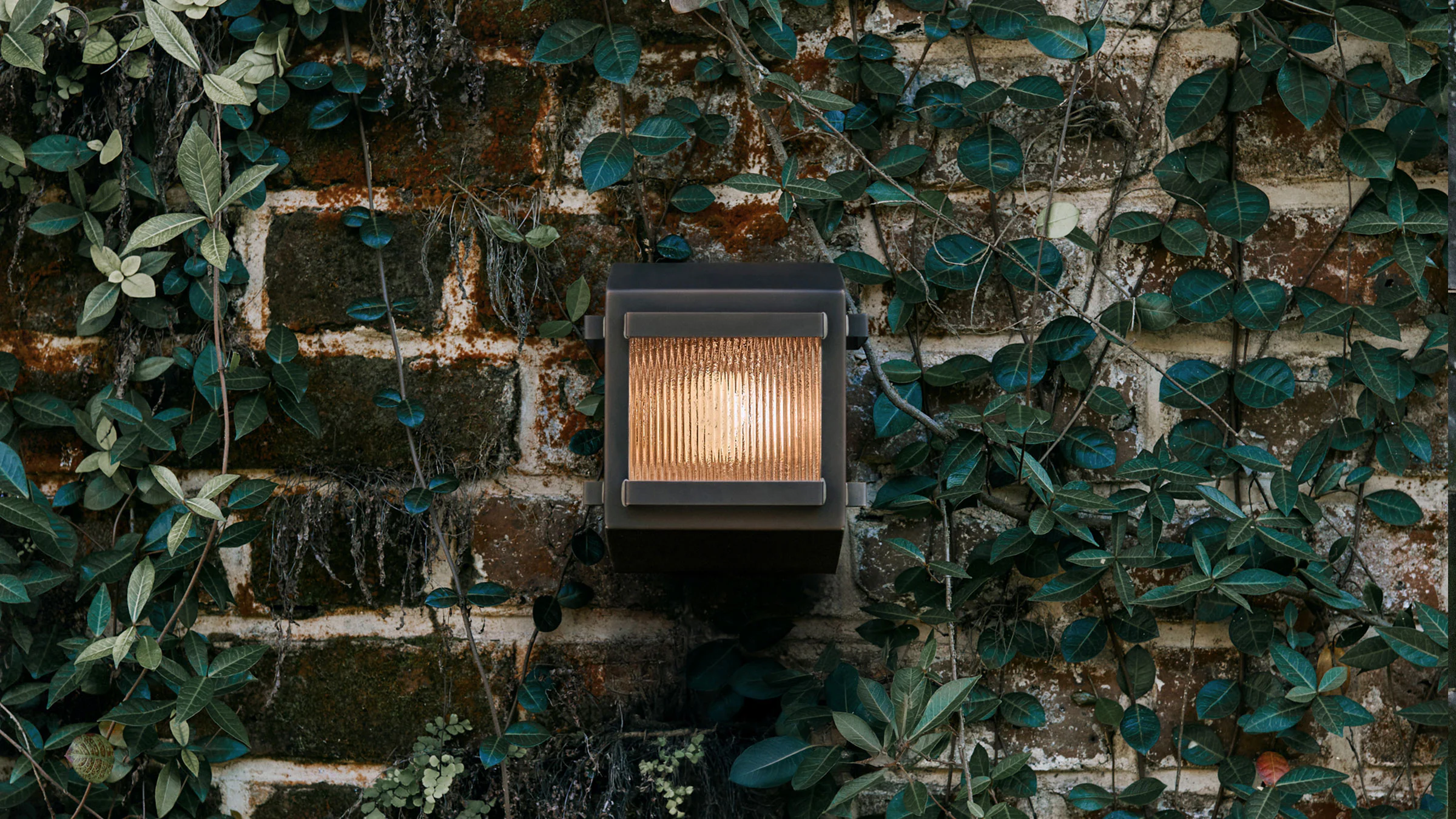 gallery image for Trellis_Sc_Situ_02