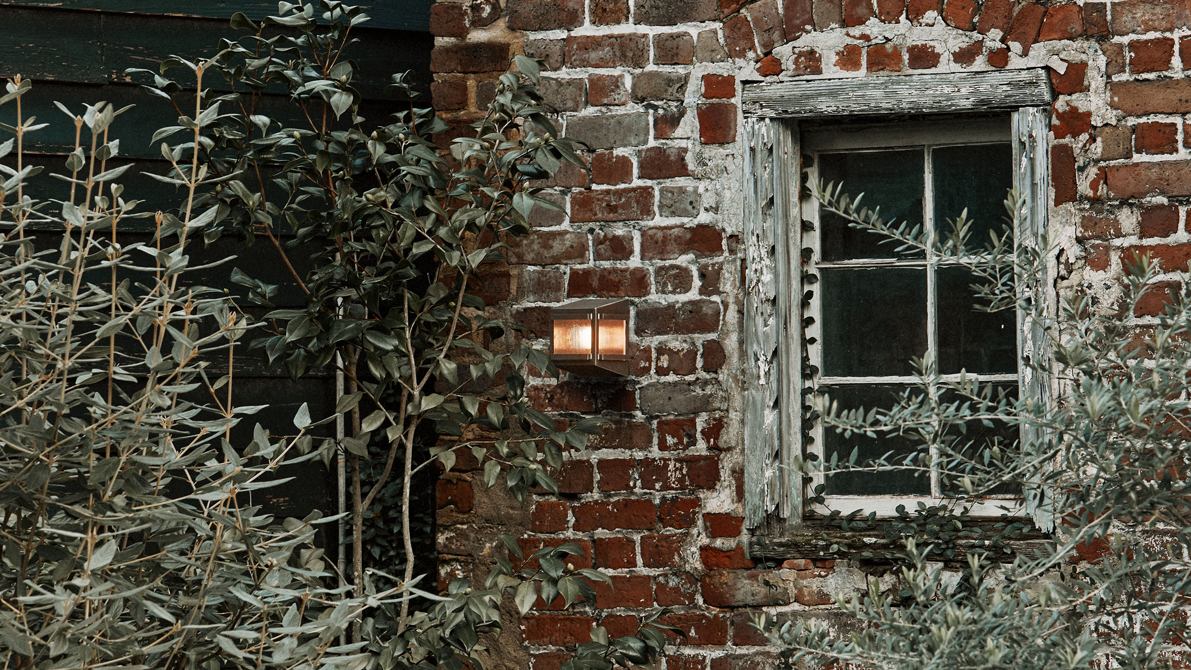 gallery image for Trellis_Sc_Situ_03