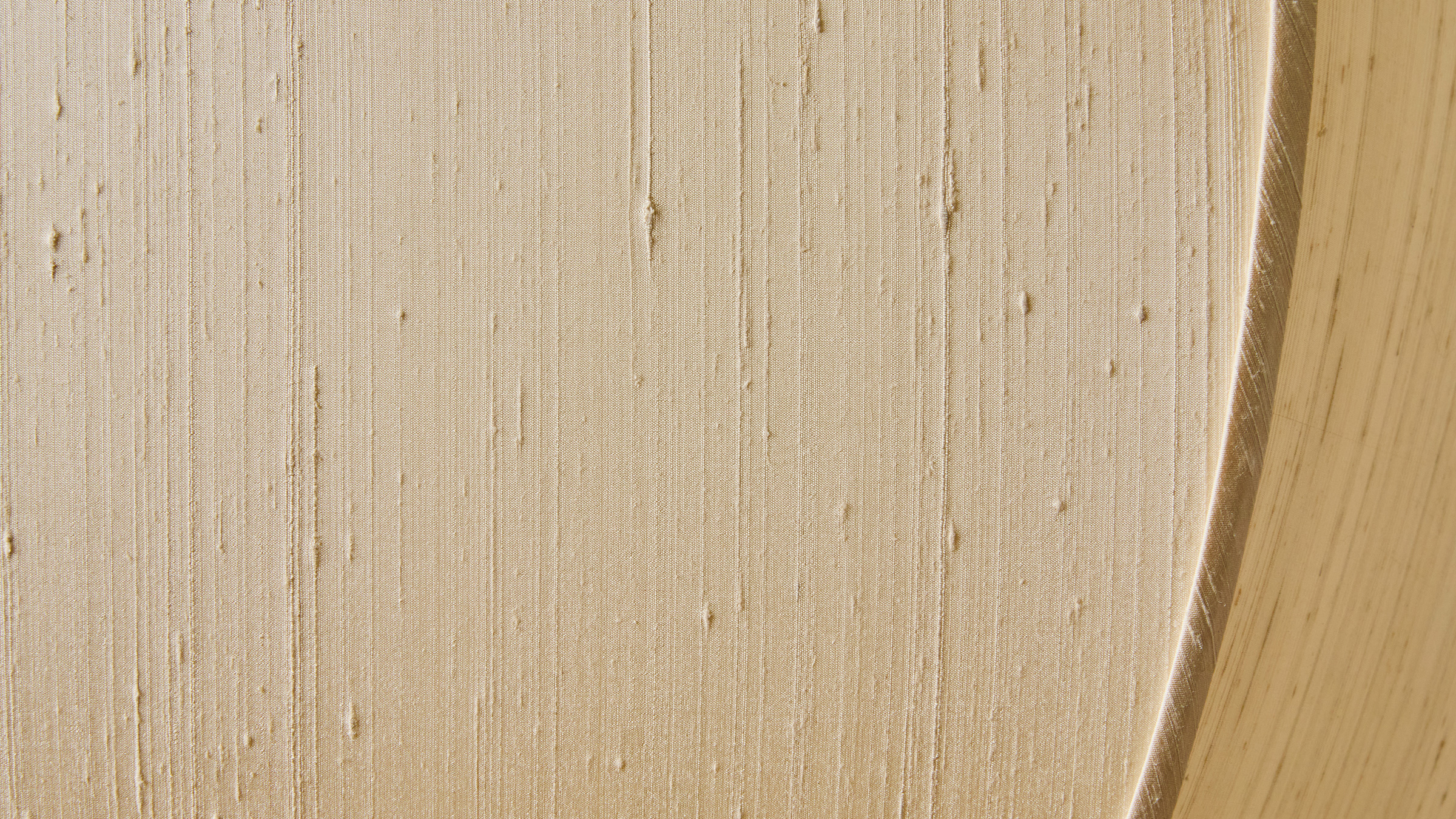 gallery image for LAN_P_LG_DETAIL_TEXTURE